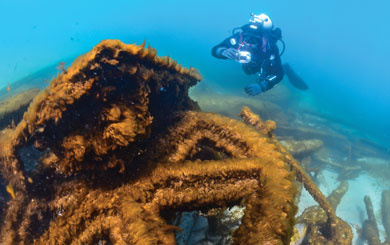 The West Michigan Underwater Preserve is our state’s newest shipwreck preserve, and one of 14 on lakes Michigan, Huron and Superior.