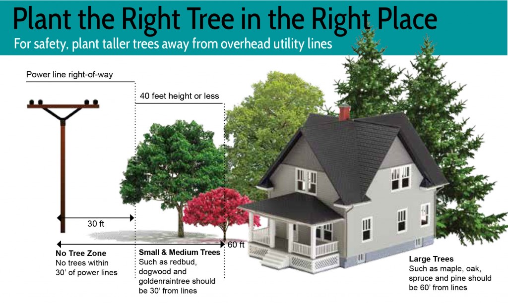 Tree-planting