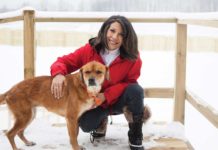 Silver Muzzle Cottage: A Rescue & Hospice For Homeless Senior Dogs