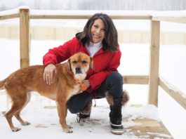 Silver Muzzle Cottage: A Rescue & Hospice For Homeless Senior Dogs