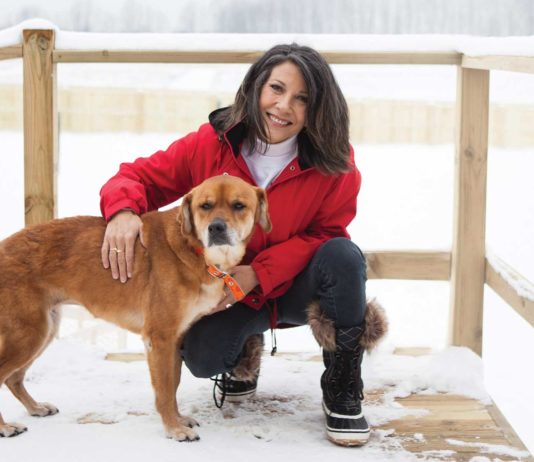 Silver Muzzle Cottage: A Rescue & Hospice For Homeless Senior Dogs