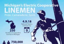 Michigan Cooperative Linemen By The Numbers