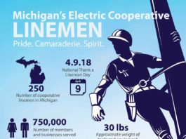 Michigan Cooperative Linemen By The Numbers