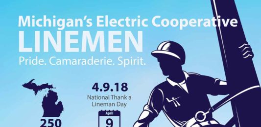 Michigan Cooperative Linemen By The Numbers