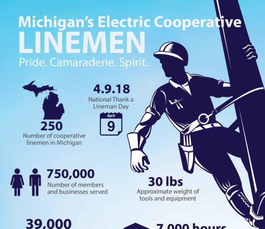 Michigan Cooperative Linemen By The Numbers