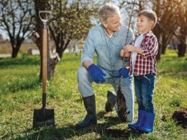 I Am Only Planting A Bush, Do I Really Need To Call 811 First?