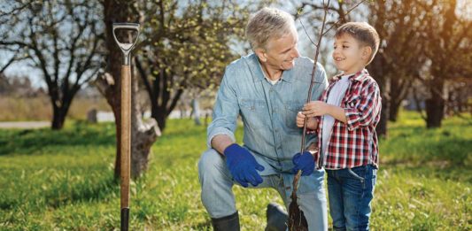 I Am Only Planting A Bush, Do I Really Need To Call 811 First?