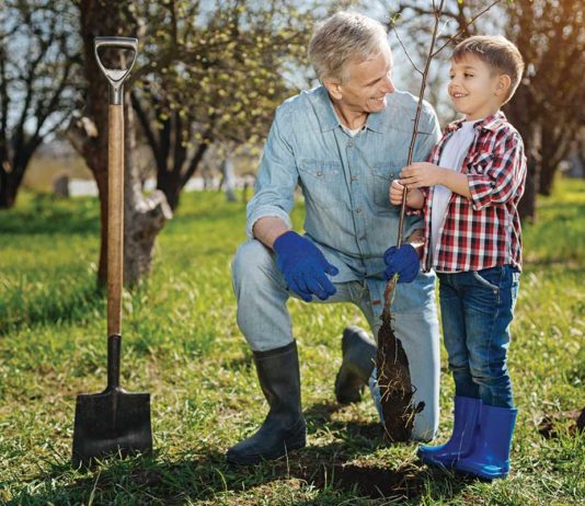 I Am Only Planting A Bush, Do I Really Need To Call 811 First?