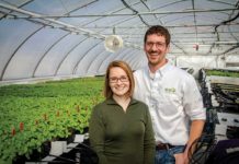 Johannesburg Family: Seeding Success Through Tradition