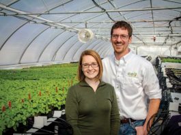 Johannesburg Family: Seeding Success Through Tradition