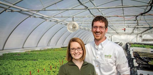 Johannesburg Family: Seeding Success Through Tradition