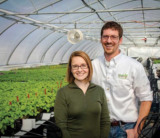 Johannesburg Family: Seeding Success Through Tradition