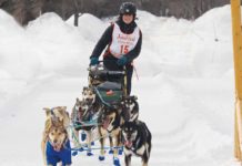 The UP200 Sled Dog Racers Mush On