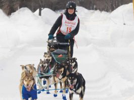 The UP200 Sled Dog Racers Mush On