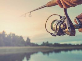 A Multitude Of Experiences Can Be Fulfilled Within 20 Minutes