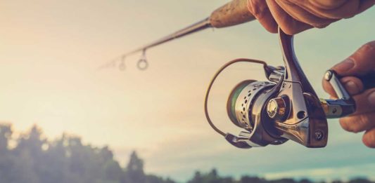 A Multitude Of Experiences Can Be Fulfilled Within 20 Minutes