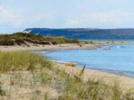62 Years Of Michigan Marriage