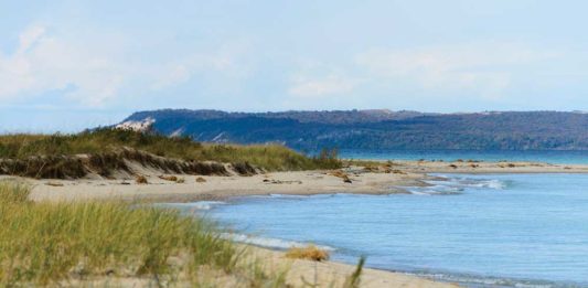 62 Years Of Michigan Marriage