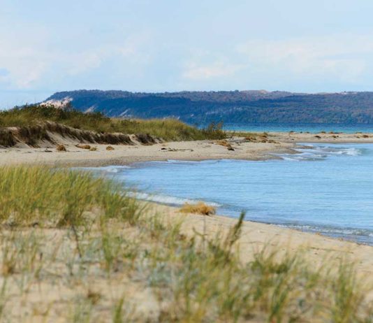 62 Years Of Michigan Marriage