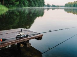 Michigan’s Fishery Is Nature’s School