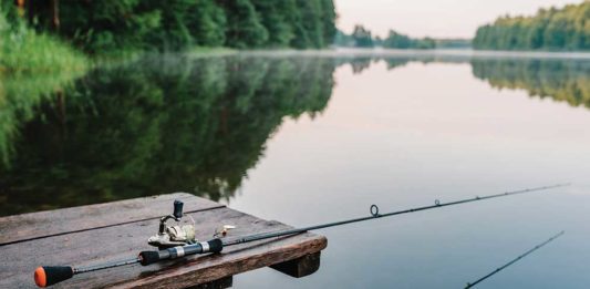 Michigan’s Fishery Is Nature’s School