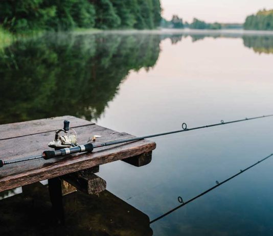 Michigan’s Fishery Is Nature’s School