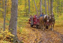 Knaebe’s Apple Farm & Orchard