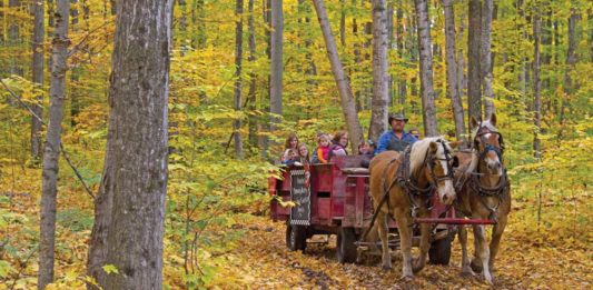 Knaebe’s Apple Farm & Orchard