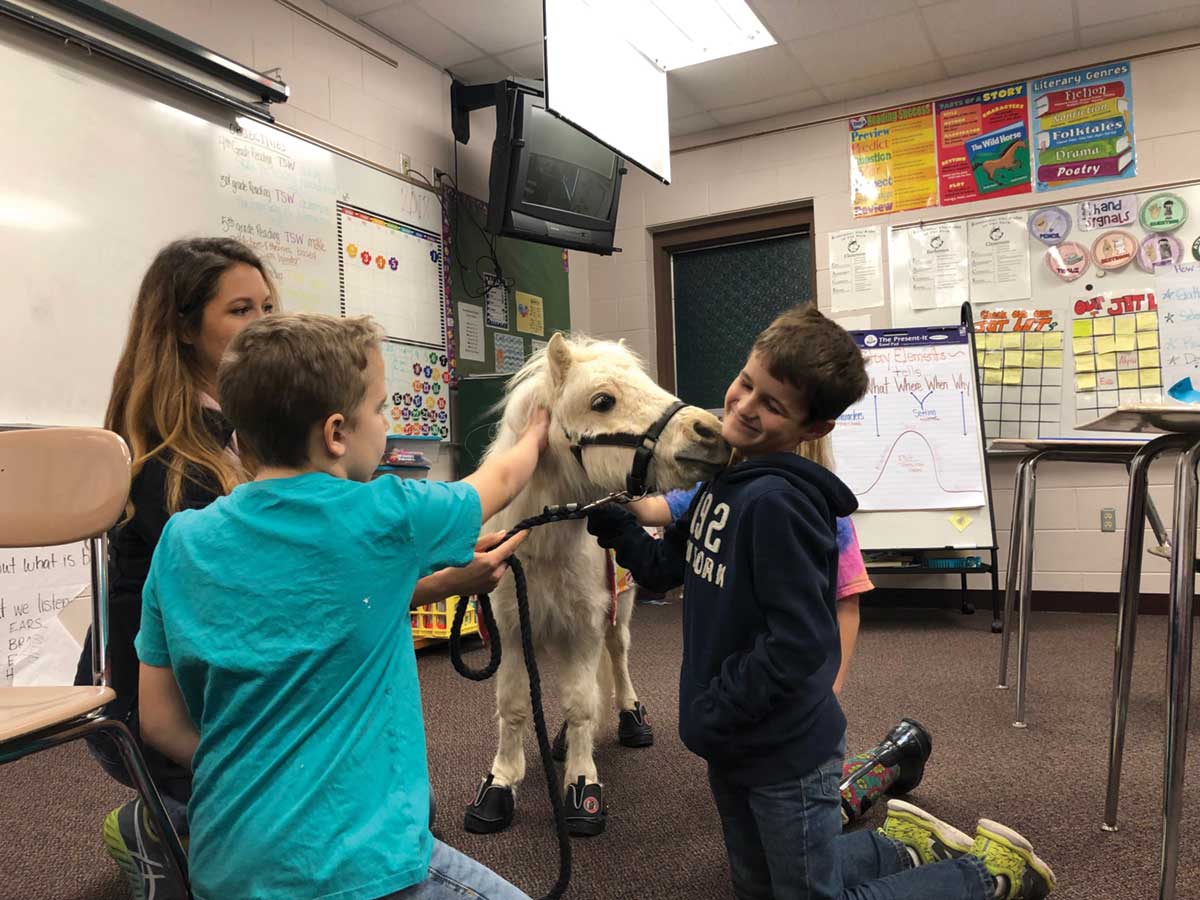 kids brushing a pony