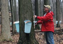 Sweet Home, Vermontville