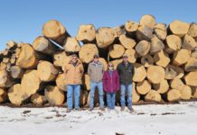 Seeing The Forest For The Family Tree