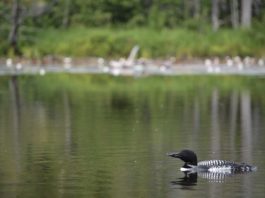 Reaping What You Sow