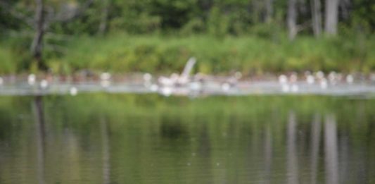 Reaping What You Sow