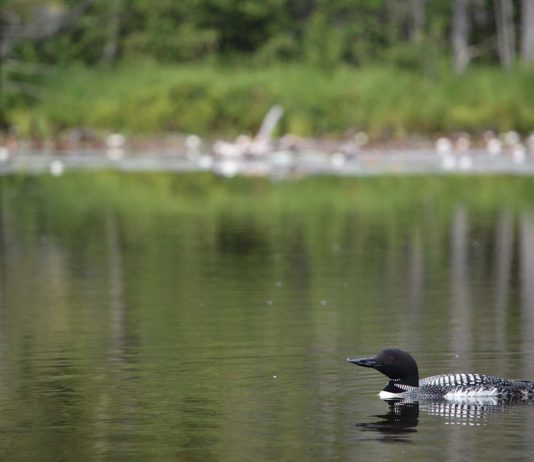 Reaping What You Sow