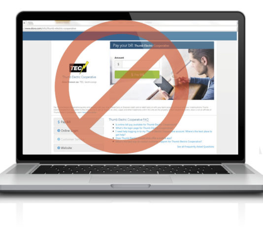 Beware Of Other Online Payment Sites