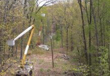 Why Your Co-op Clears Vegetation