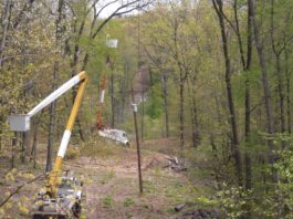 Why Your Co-op Clears Vegetation