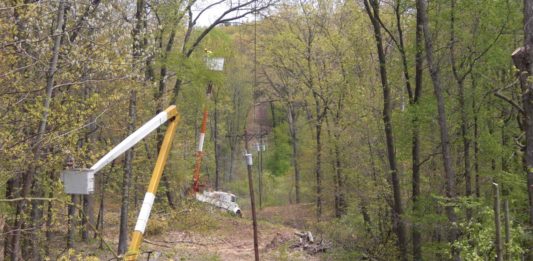 Why Your Co-op Clears Vegetation