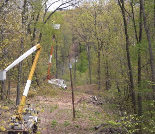 Why Your Co-op Clears Vegetation