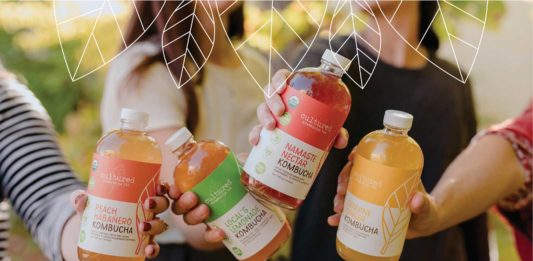 Growing A Business Organically: Cultured Kombucha Co.