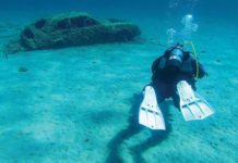 A Deep Dive With Chris Roxburgh