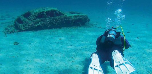 A Deep Dive With Chris Roxburgh