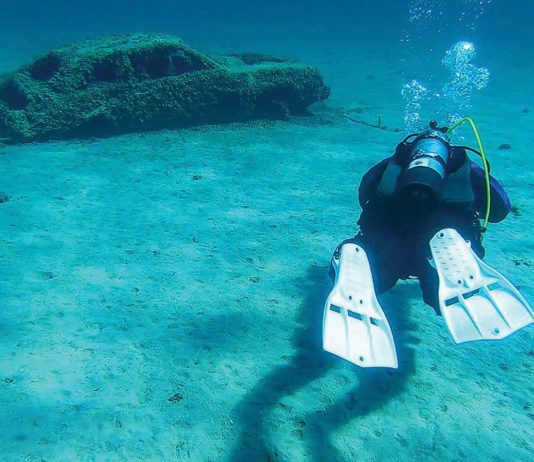 A Deep Dive With Chris Roxburgh