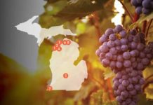 Best Of Michigan: Wineries