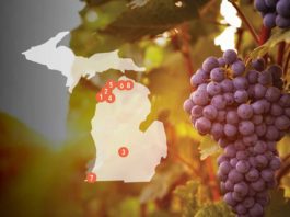 Best Of Michigan: Wineries