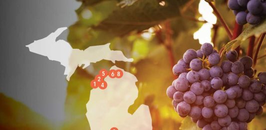 Best Of Michigan: Wineries