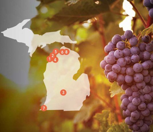 Best Of Michigan: Wineries