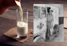 Remembering The Glass Bottles & The Milkman