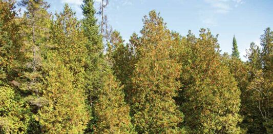 Hidden Northern Michigan Treasure For All Ages