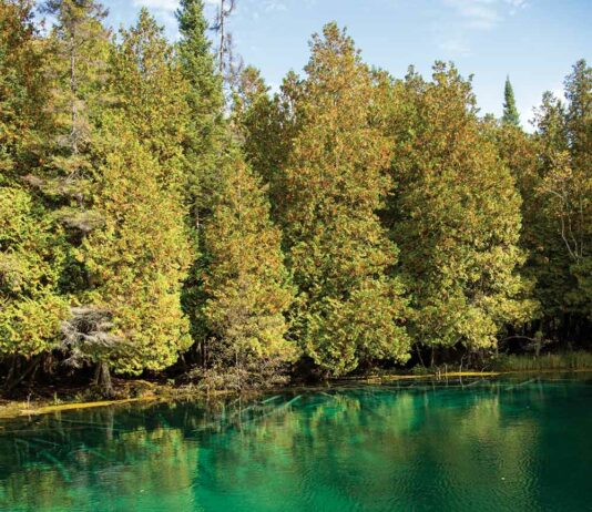 Hidden Northern Michigan Treasure For All Ages